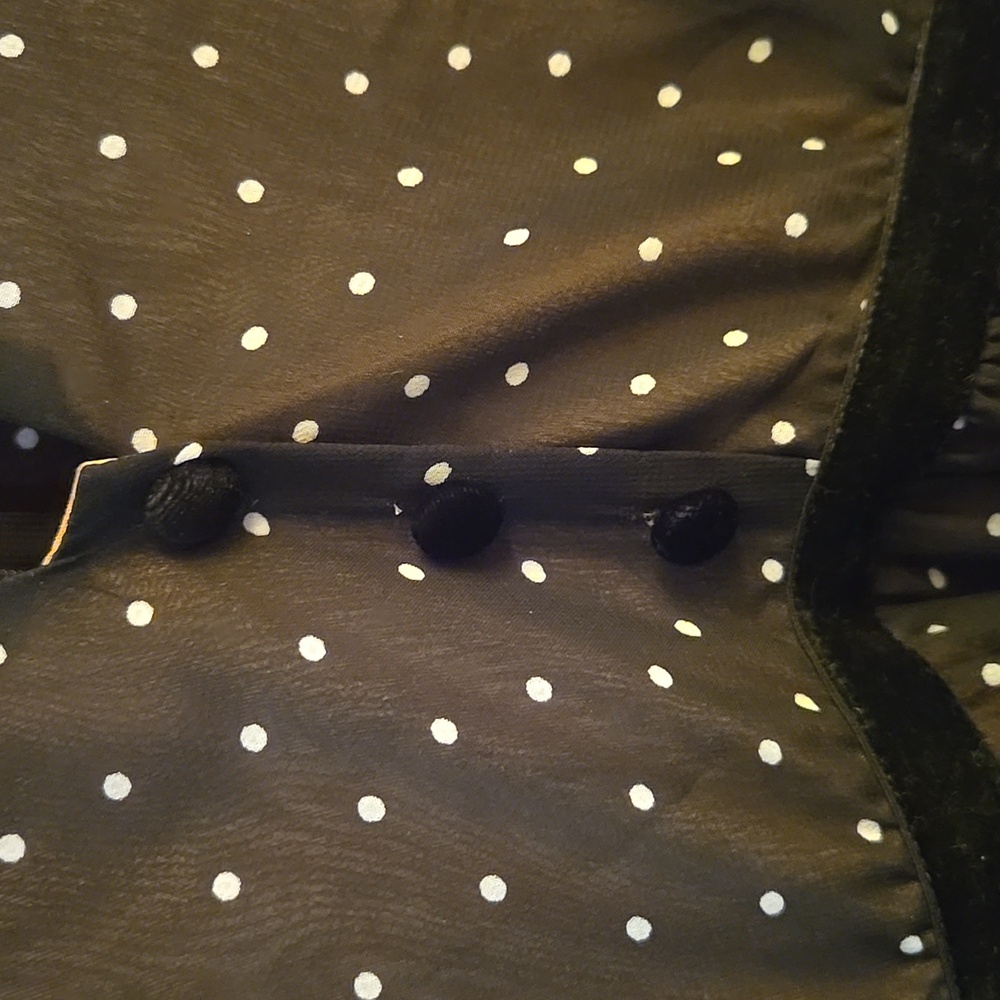 For Love & Lemons Black Polka Dot Sheer Maxi Dress - Picture 3 of 10
